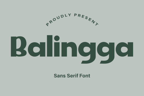 Balingga: A Stylish Sans Serif Font for Web Design