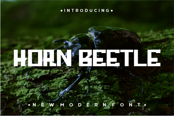 Horn Beetle: A Modern Sans Serif Font Review