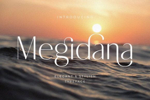 Megidana: A Slim Sans Serif Font for Makers
